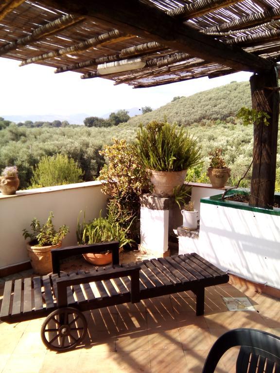 バッティパーリア Masseria Sparanoヴィラ エクステリア 写真
